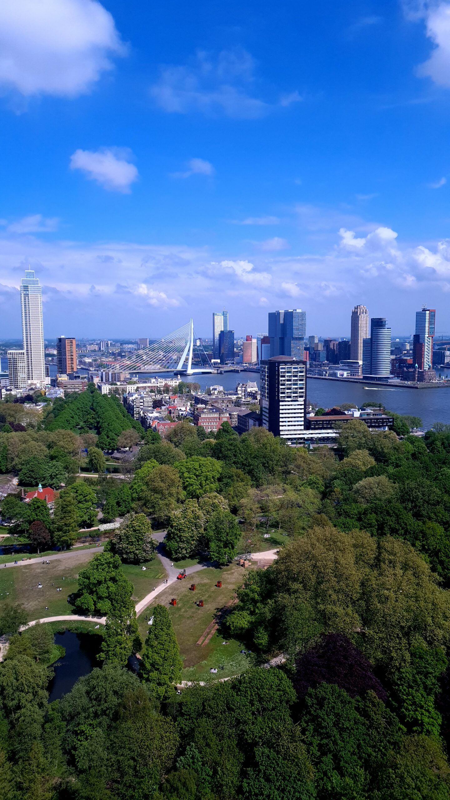 rotterdam_skyline